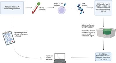 Activating STAT3 mutations in CD8+ T-cells correlate to serological positivity in rheumatoid arthritis